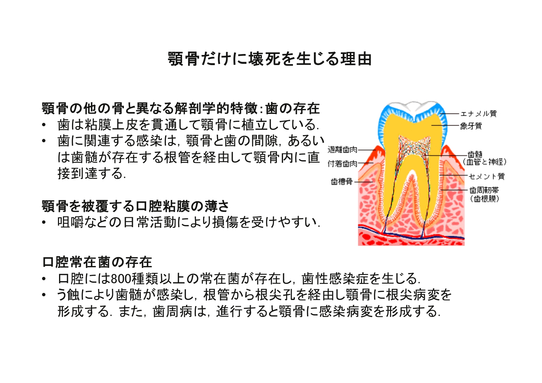 歯科口腔外科／診療科・各部門 ／ 【JA尾道総合病院】医師・看護師